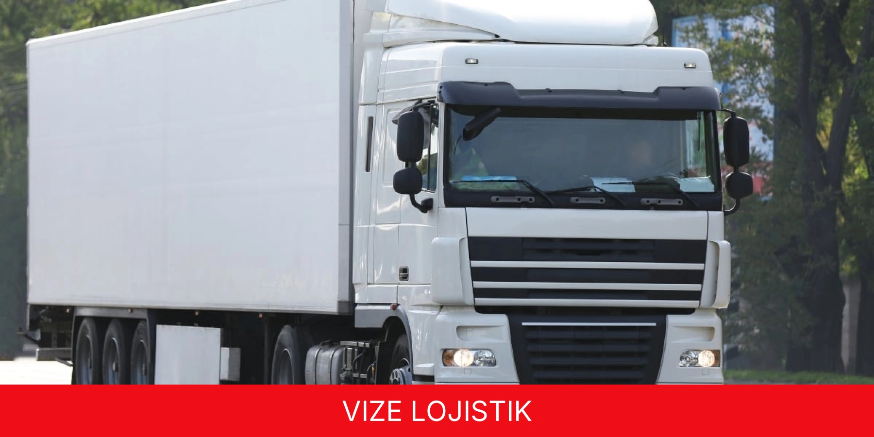 Vize Lojistik